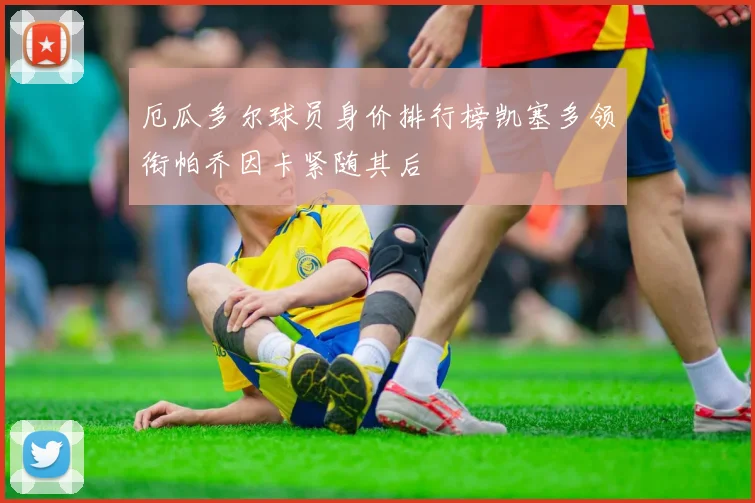 厄瓜多尔球员身价排行榜凯塞多领衔帕乔因卡紧随其后