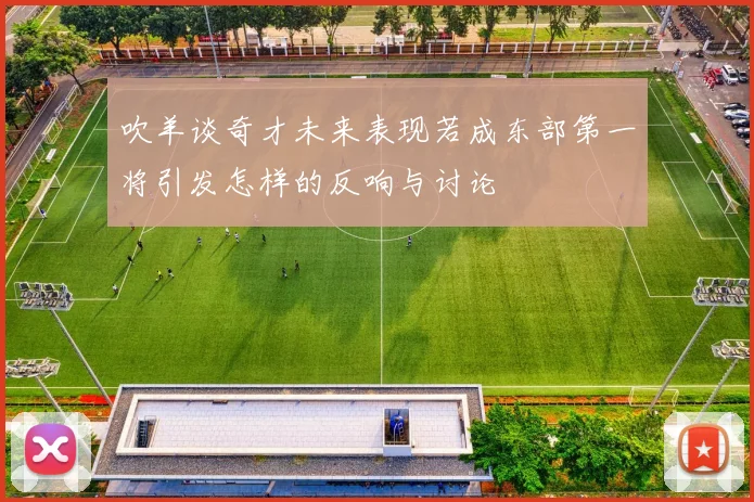 吹羊谈奇才未来表现若成东部第一将引发怎样的反响与讨论